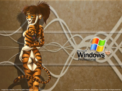 380748 (a): :1152x864